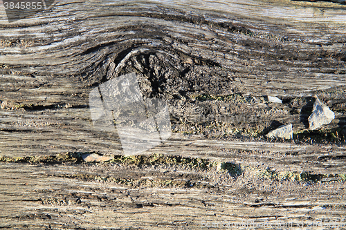 Image of old wood texture 