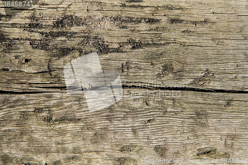 Image of old wood texture 