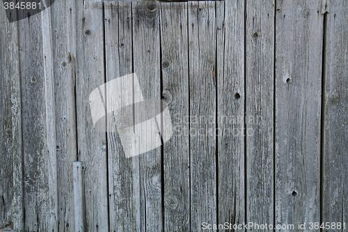 Image of old wood texture 