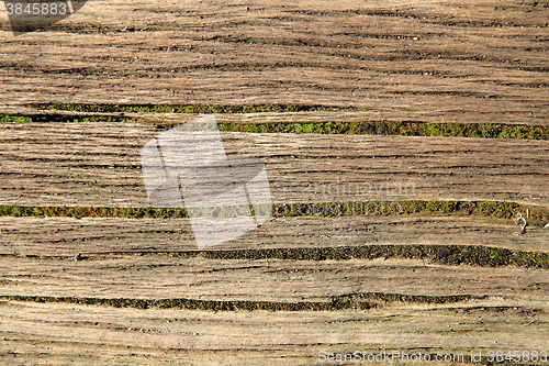 Image of old wood texture 