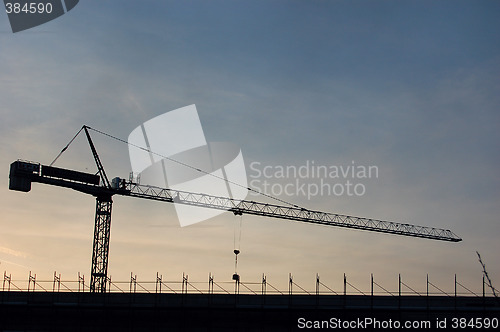 Image of crane 2