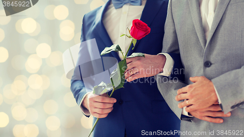 Image of close up of happy male gay couple holding hands