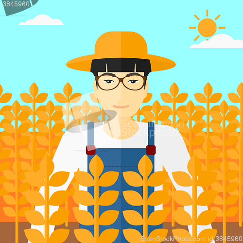 Image of Man in wheat field.