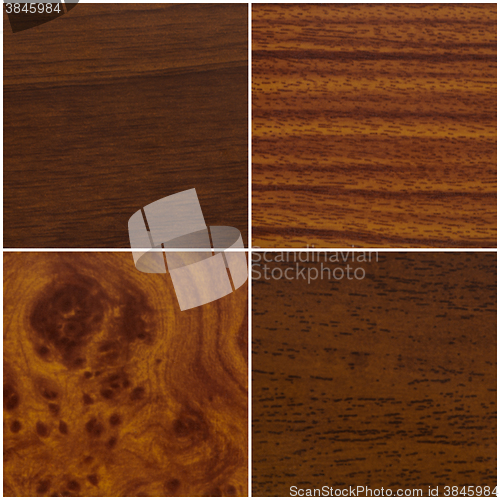 Image of Four wood samples