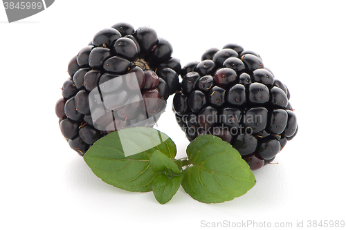 Image of Blackberries with leaves