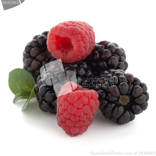 Image of Raspberry with blackberry 