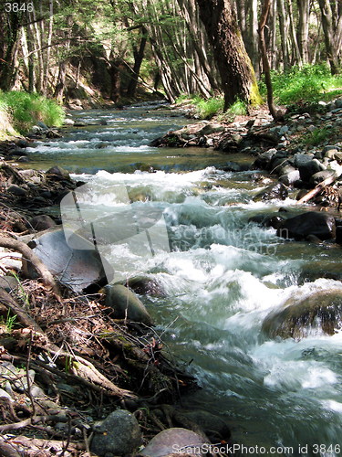 Image of Foamy river. Cyprus