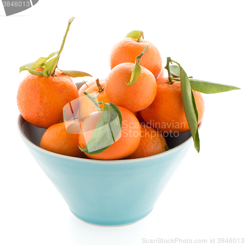 Image of Tangerines on ceramic blue bowl 