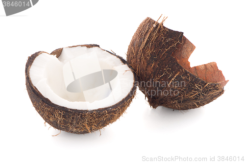 Image of Coconut