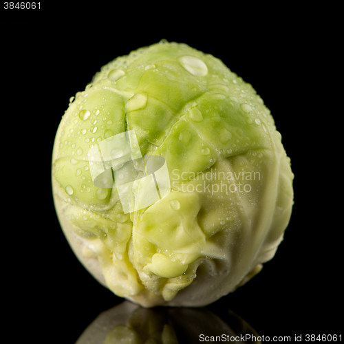 Image of Fresh brussels sprouts