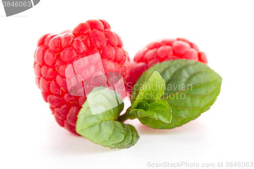 Image of Raspberries with leaves