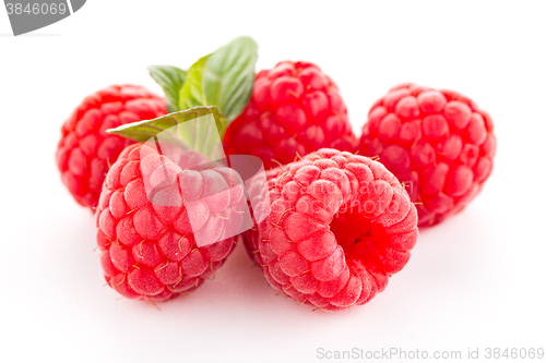Image of Raspberries with leaves