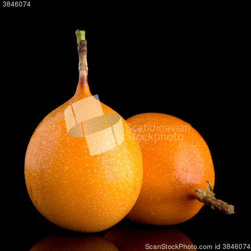 Image of Passion fruit maracuja granadilla