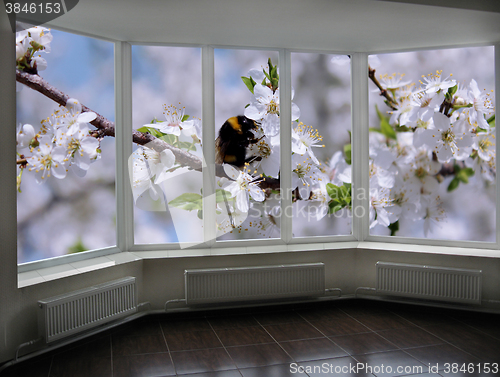 Image of plastic windows overlooking the blossoming garden