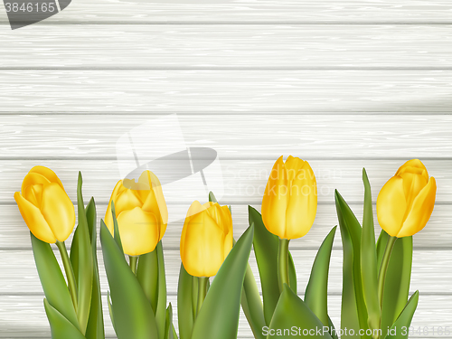 Image of Yellow tulips. EPS 10