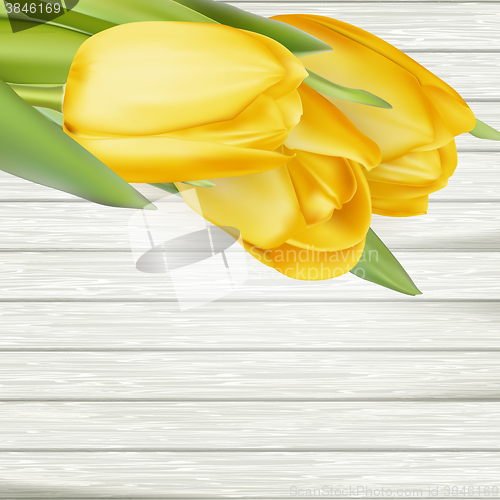 Image of Yellow tulips. EPS 10