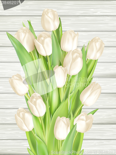 Image of Bouquet of white tulips. EPS 10