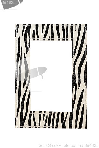 Image of Zebra frame