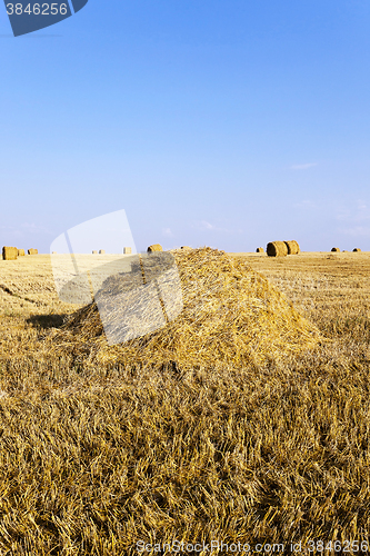 Image of Stack of straw  