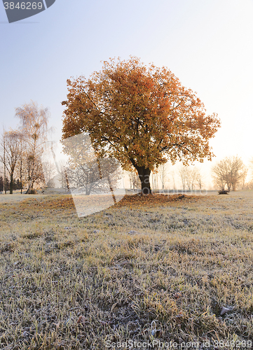 Image of   autumn to winter