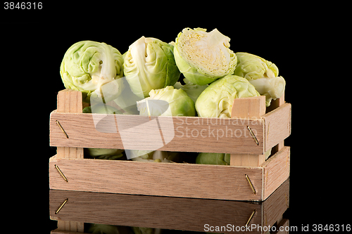 Image of Fresh brussels sprouts