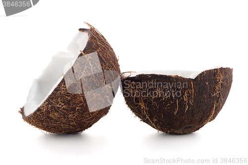 Image of Coconut