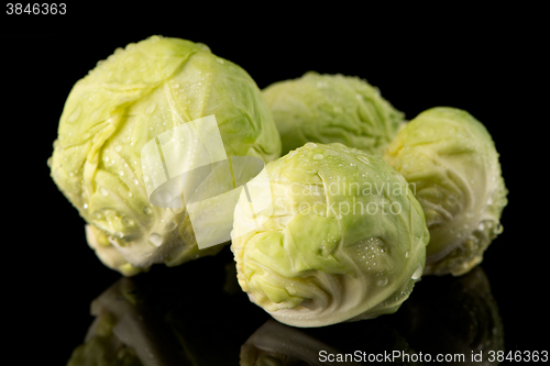 Image of Fresh brussels sprouts