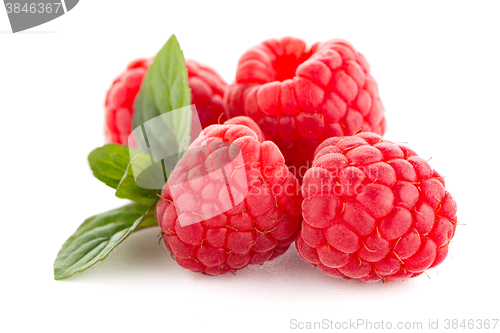 Image of Raspberries with leaves