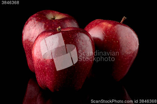 Image of Fresh red apples