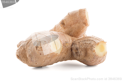 Image of Ginger root on white