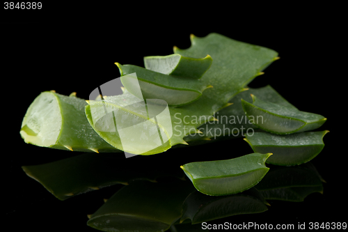 Image of Sliced aloe leaf