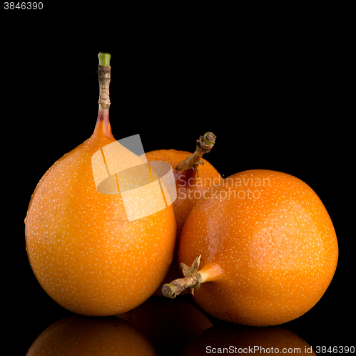 Image of Passion fruit maracuja granadilla