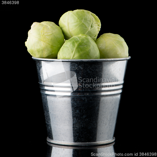 Image of Fresh brussels sprouts