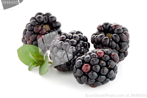 Image of Blackberries with leaves