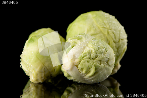 Image of Fresh brussels sprouts