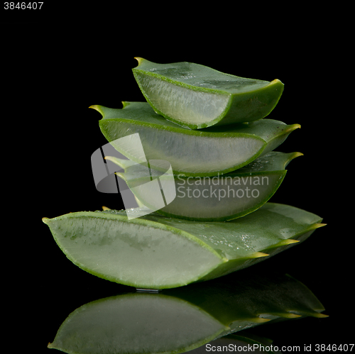 Image of Sliced aloe leaf