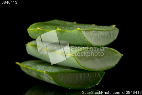 Image of Sliced aloe leaf