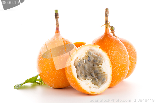 Image of Passion fruit maracuja granadilla