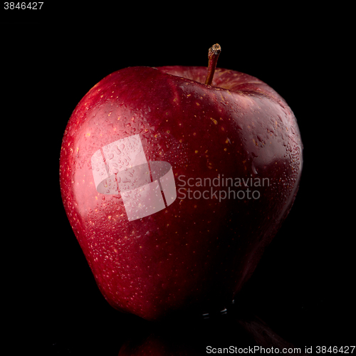 Image of Fresh red apple