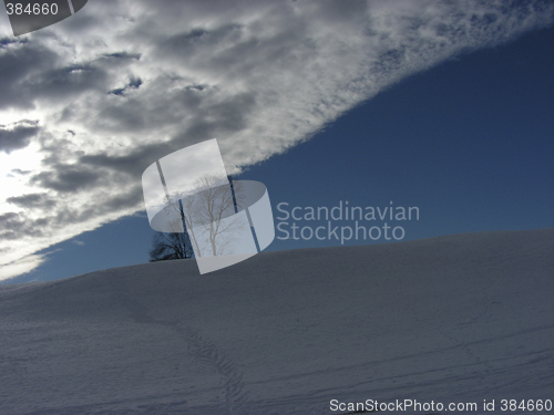 Image of Winter landscape