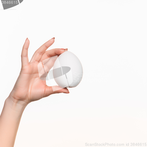 Image of Hand holding a egg on white background