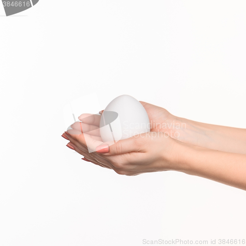 Image of Hands holding a egg on white background