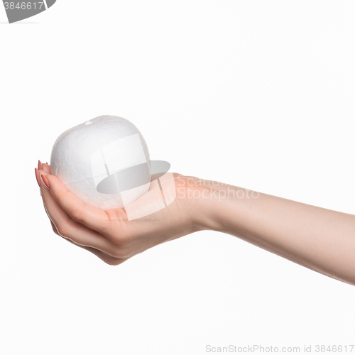 Image of Hand holding a egg on white background
