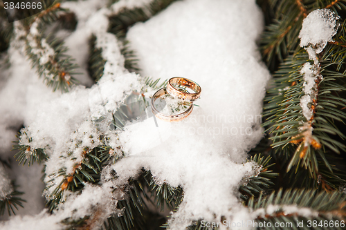 Image of The wedding rings close up 