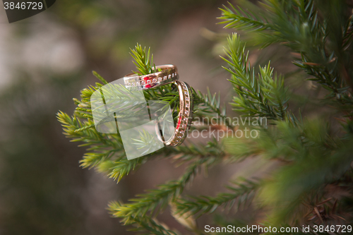 Image of The wedding rings close up 