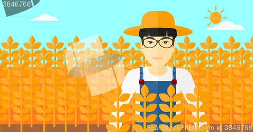 Image of Man in wheat field.