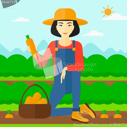 Image of Farmer collecting carrots.