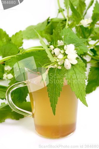 Image of Healthy herb tea