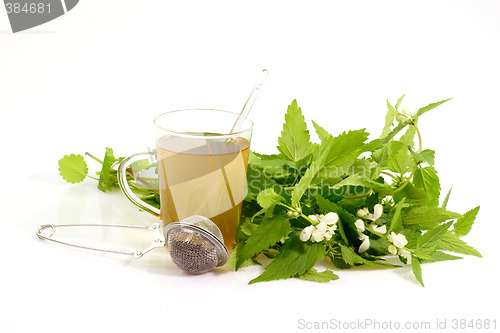 Image of Healthy herbal tea