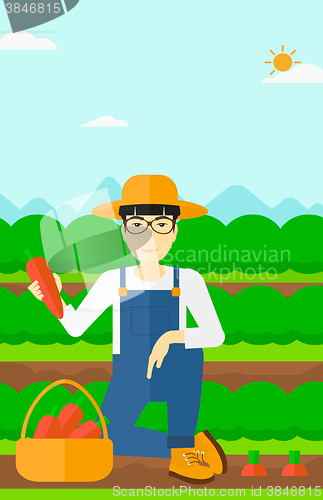 Image of Farmer collecting carrots.